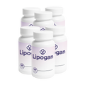Lipogan - 6 Frascos